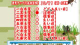 「10月19日（日）の運勢｜蟋蟀在戸（きりぎりすとにあり）【今日の運勢】」