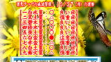 10月27日（月）の運勢｜石蕗（つわぶき）に学ぶポジティブ思考【今日の運勢】