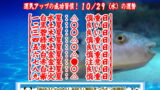 10月29日（水）の運勢｜ふぐの日・高いけど食べたい！【今日の運勢】